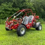 Trailmaster 300 XRX EFI Adult Go-Kart Buggy