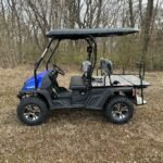 TrailMaster Taurus 450GX EFI 4X4 Golf Cart