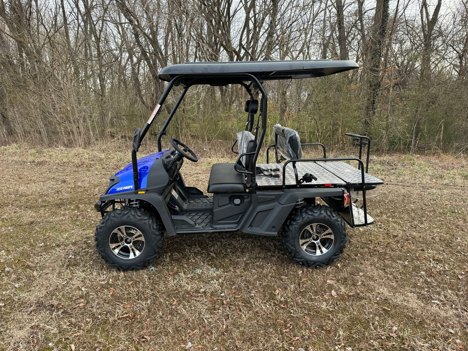 IMG_3958.jpg TrailMaster Taurus 450GX EFI 4X4 Golf Cart