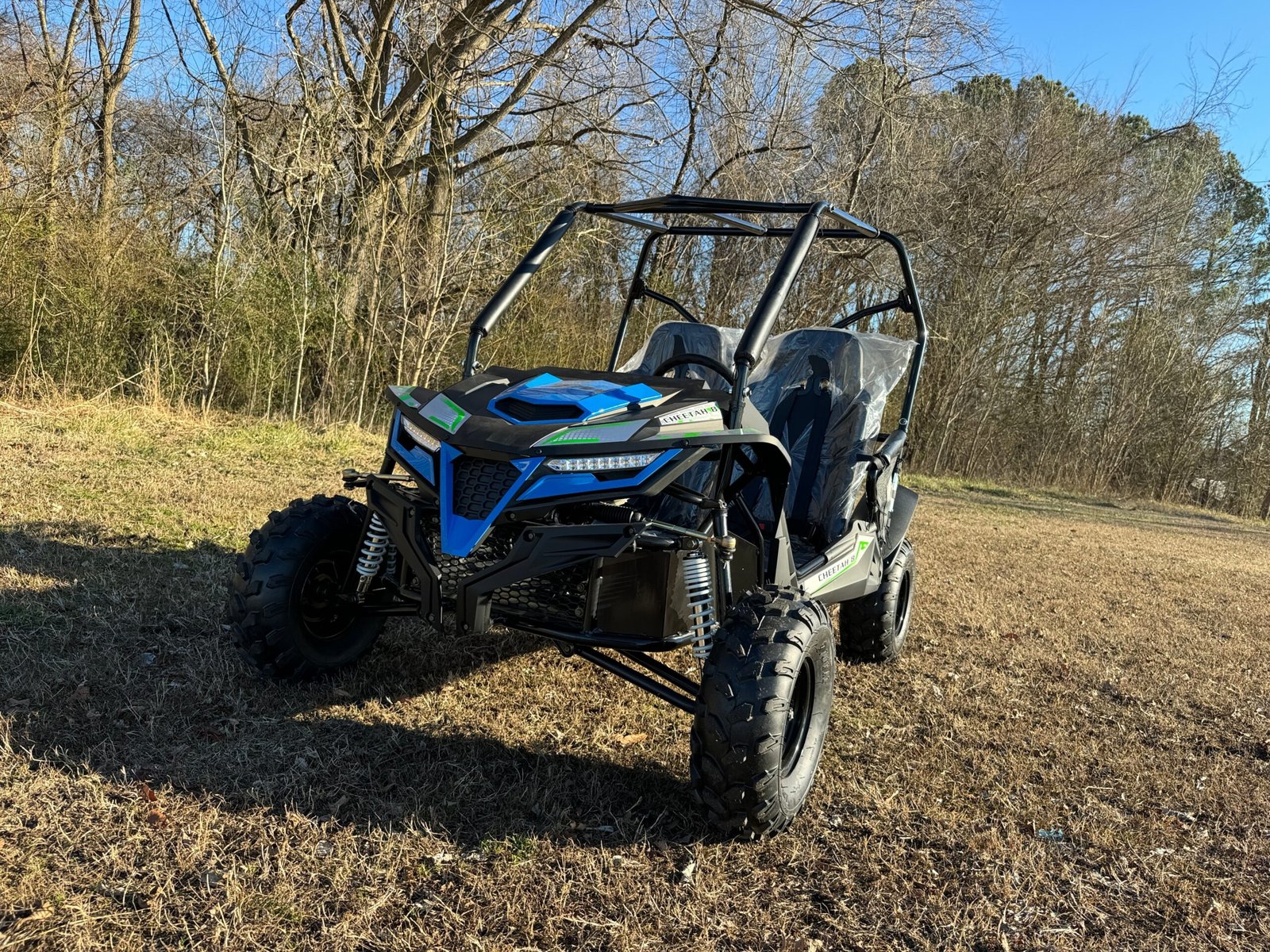 IMG_4335.jpg Trailmaster Cheetah 8 Youth Go-Kart Buggy
