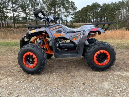 Tao Tao Raptor 200G Adult ATV