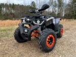 Tao Tao Raptor 200G Adult ATV