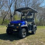 Trailmaster Taurus 200GX Golf Cart