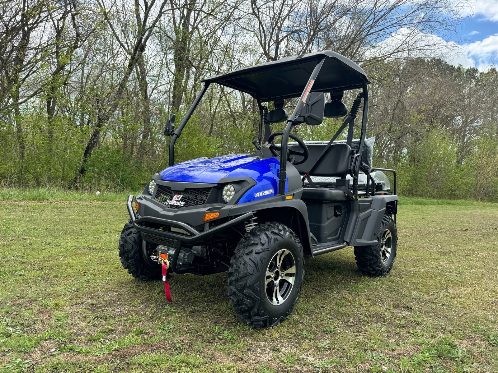 IMG_5233.jpg TrailMaster Taurus 450GV EFI 4X4 Golf Cart