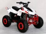 ACE N110 Children's ATV, 4-Stroke 110cc