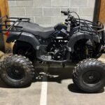 Black Warrior 200 Adult Quad ATV (Overstock)