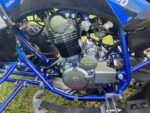 Pentora 250cc ATV Engine