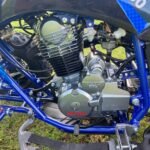 Pentora 250cc ATV Engine