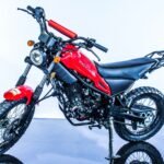 Magician 250 Offroad Adult Dirt Bike
