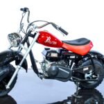 Falcon 200 Offroad Mini Bike