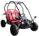 Ace 125 Children's Go-Kart Buggy, 125cc 4 Stroke