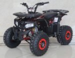 ACE T125 Thor Children's ATV, 4-Stroke 125cc