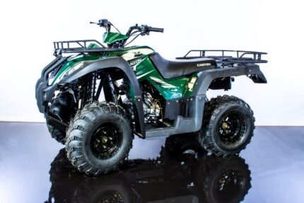 Canyon 250cc ATV Engine