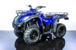 Canyon 250 Adult ATV