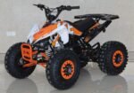 ACE K125 Children's ATV, 4-Stroke 125cc