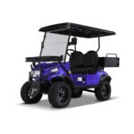 Kandi Kruiser 2P Electric Golf Cart UTV (AGM)