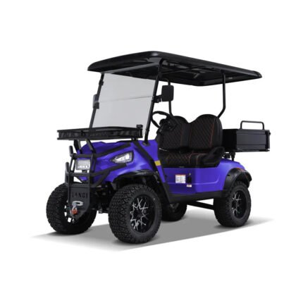 Kandi Kruiser 2P Electric Golf Cart UTV (Lithium Battery)