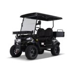 Kandi Kruiser 2P Electric Golf Cart UTV (AGM)