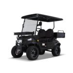 Kandi Kruiser 2P Electric Golf Cart UTV (AGM)