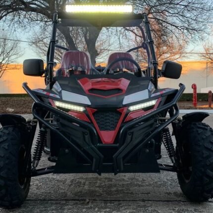 Trailmaster Cheetah 300EX EFI Adult Go-Kart Buggy