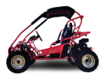 Trailmaster Mid XRX/R+ Youth Go-Kart Buggy