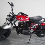 Trailmaster Hurricane 200X Offroad Mini Bike