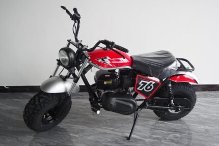 Trailmaster Hurricane 200X Offroad Mini Bike