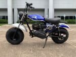 Trailmaster Hurricane 200X Offroad Mini Bike
