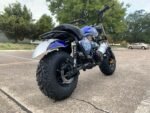 Trailmaster Hurricane 200X Offroad Mini Bike