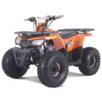 Tao Tao Rival Mudhawk 10 Children's ATV, 4-Stroke 125cc