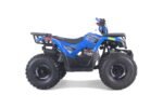 Tao Tao Rival Mudhawk 10 Children's ATV, 4-Stroke 125cc