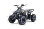 Tao Tao Rival Mudhawk 6 Children's ATV, 4-Stroke 110cc