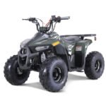 Tao Tao Rival Mudhawk 6 Children's ATV, 4-Stroke 110cc