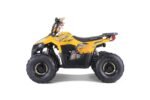 Tao Tao Rival Mudhawk 6 Children's ATV, 4-Stroke 110cc