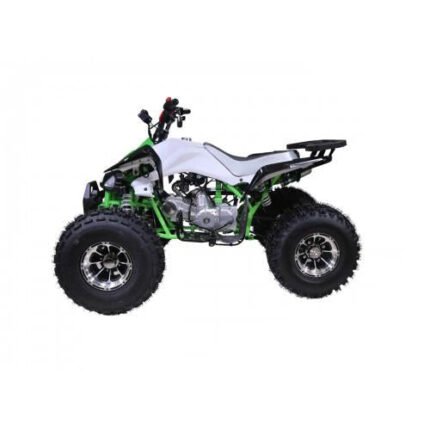Tao Tao Cheetah Children's ATV, 4-Stroke 125cc
