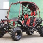 Dongfang Cowboy 200GSX Youth Go-Kart Buggy, 4-Stroke 196cc