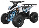 Trailmaster R125 Children's ATV, 4-Stroke 125cc