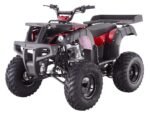 Tao Tao Rhino 250 Adult Quad ATV