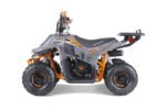 Tao Tao Rock 110 Children's ATV, 4-Stroke 110cc