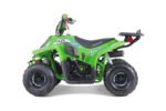 Tao Tao Rock 110 Children's ATV, 4-Stroke 110cc