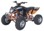 EGL Mad Max 250 Adult Quad ATV