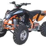 EGL Mad Max 250 Adult Quad ATV