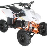 ACE D110 Children's ATV, 4-Stroke 110cc