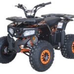 ACE T125 Thor Children's ATV, 4-Stroke 125cc