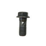 Banjo Bolt M10 x 22mm