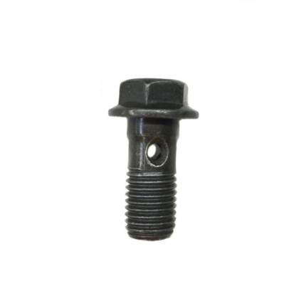 Banjo Bolt M10 x 22mm