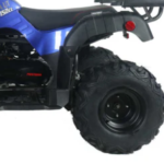 Pentora 150cc ATV Engine