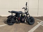 Trailmaster Storm 200 Offroad Mini Bike