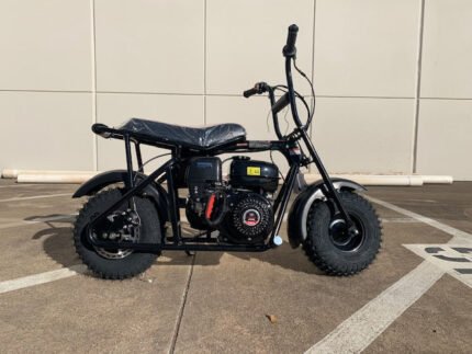 Trailmaster Storm 200 Offroad Mini Bike