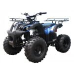 Tao Tao T-Force 125 Children's ATV, 4-Stroke 125cc
